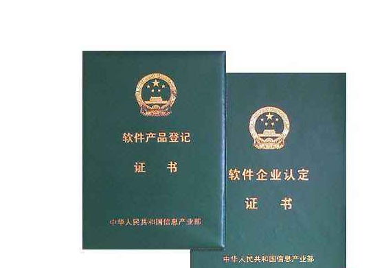 雙軟企業