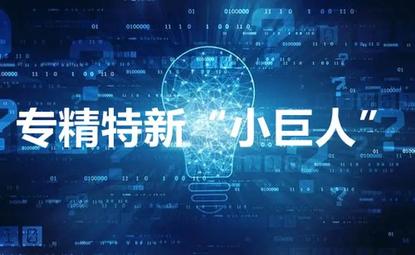 【詳細(xì)】專精特新企業(yè)申報流程、條件、領(lǐng)域